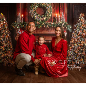 Christmas Mini Sessions 2025